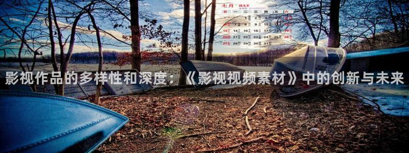 全能影视改名叫什么了：影视作品的多样性和深度：《影视视频素材》中的创新与未来