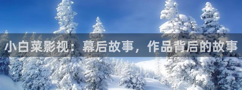 全能视频在线：小白菜影视：幕后故事，作品背后的故事