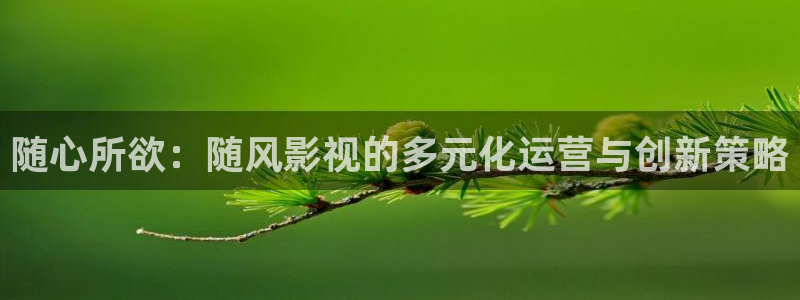 全能影视app：随心所欲：随风影视的多元化运营与创新策略