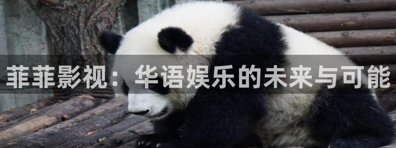 狂飙全能影视：菲菲影视：华语娱乐的未来与可能