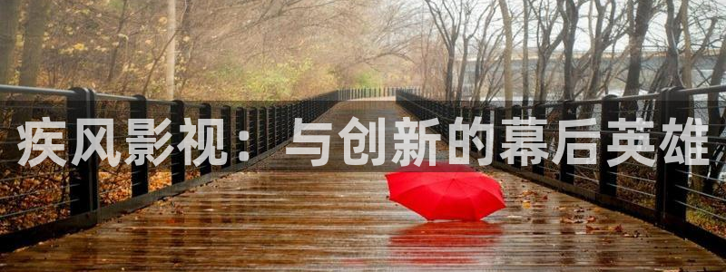 全能视频在线：疾风影视：与创新的幕后英雄