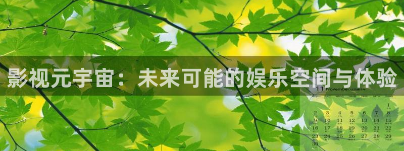 全能影视免费大全：影视元宇宙：未来可能的娱乐空间与体验
